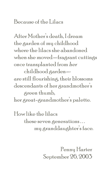 Poem: Because of the Lilacs