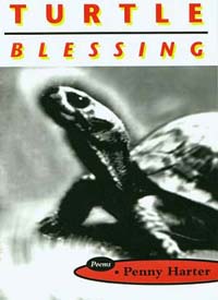 Turtle Blessing, front cover