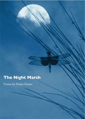The Night Marsh front cover